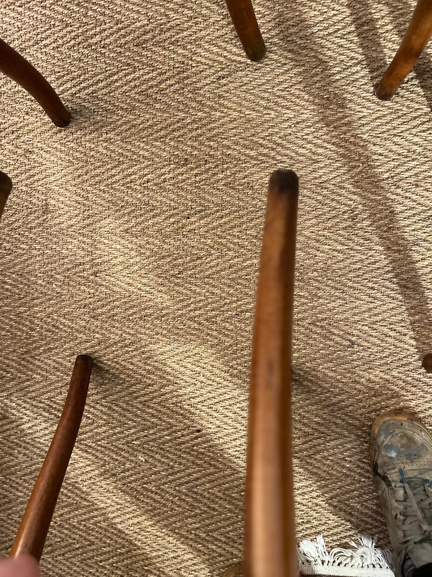 Lot de 4 chaises bistrots Fischel bois courbé et cannage